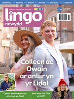 Lingo Newydd